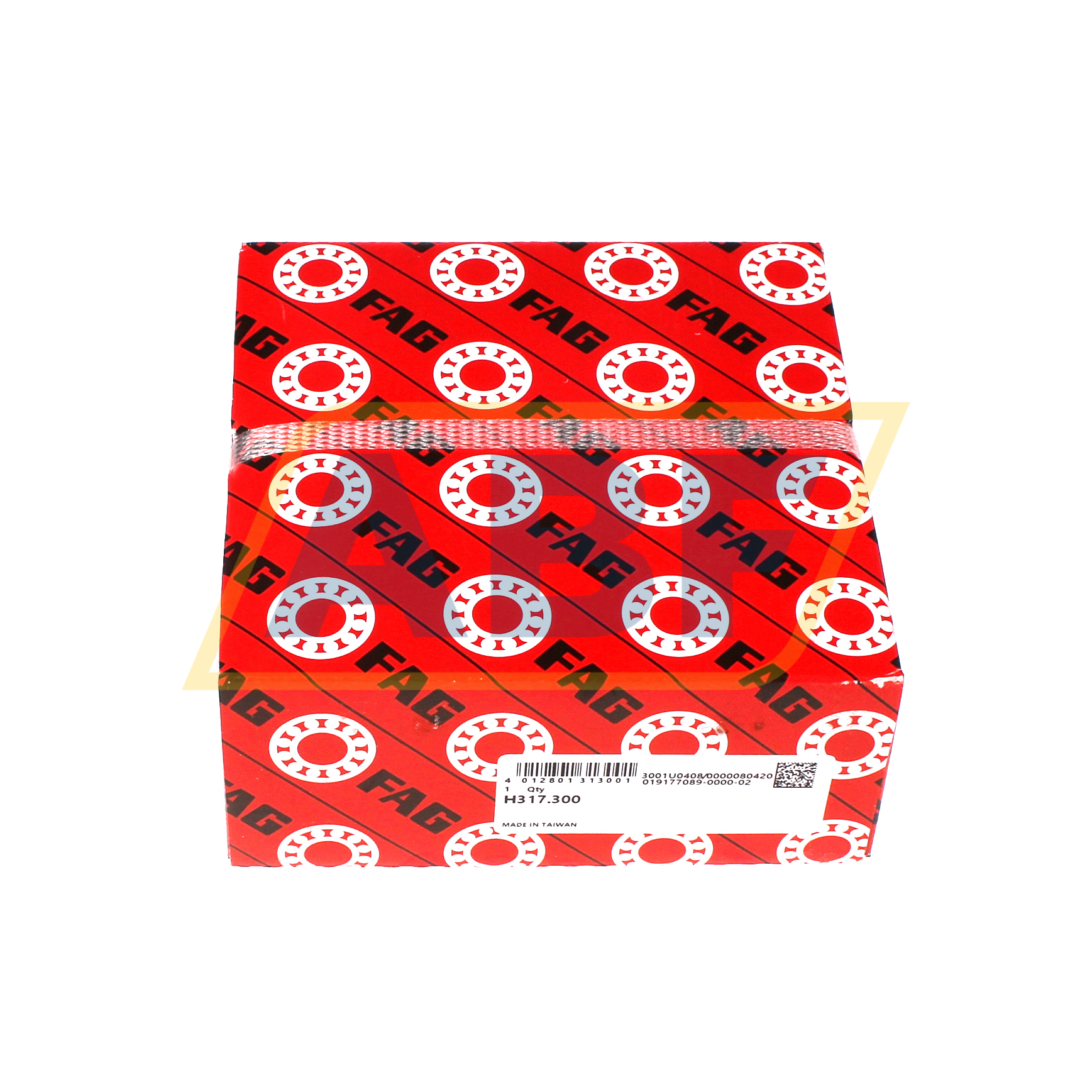 H317.300 FAG