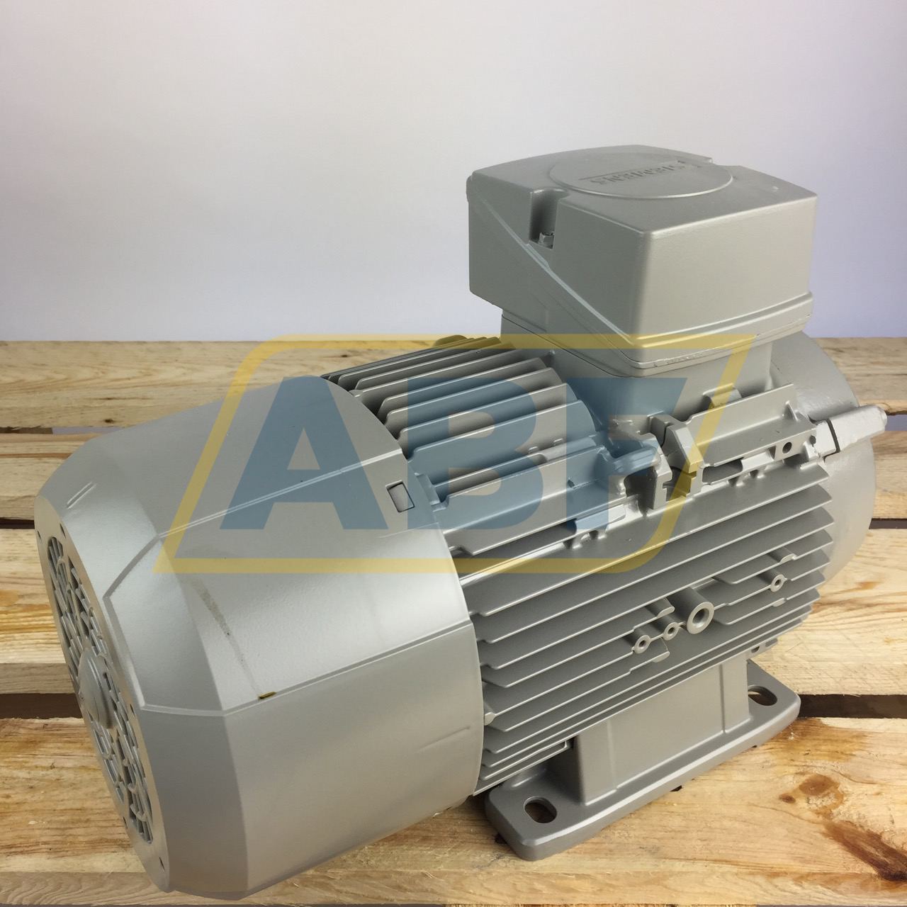 1LE1003-1AA42-2NA4 Siemens