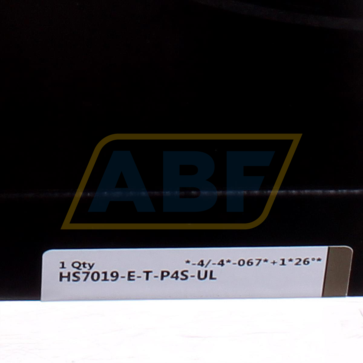 HS7019-E-T-P4S-UL FAG