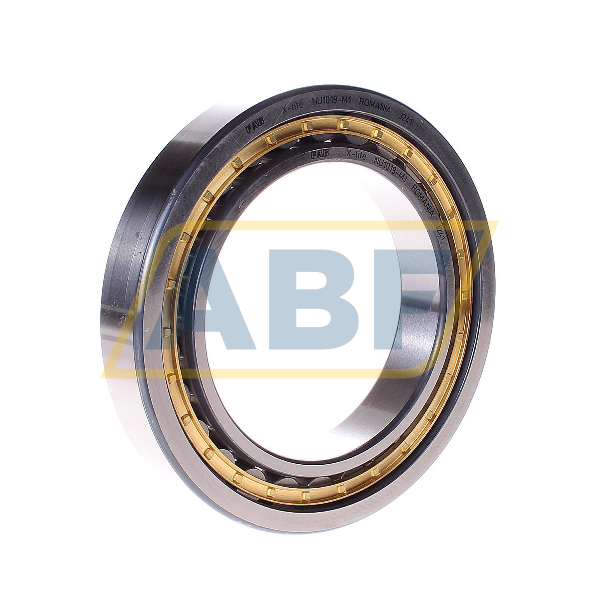 NU1019-M1 FAG
