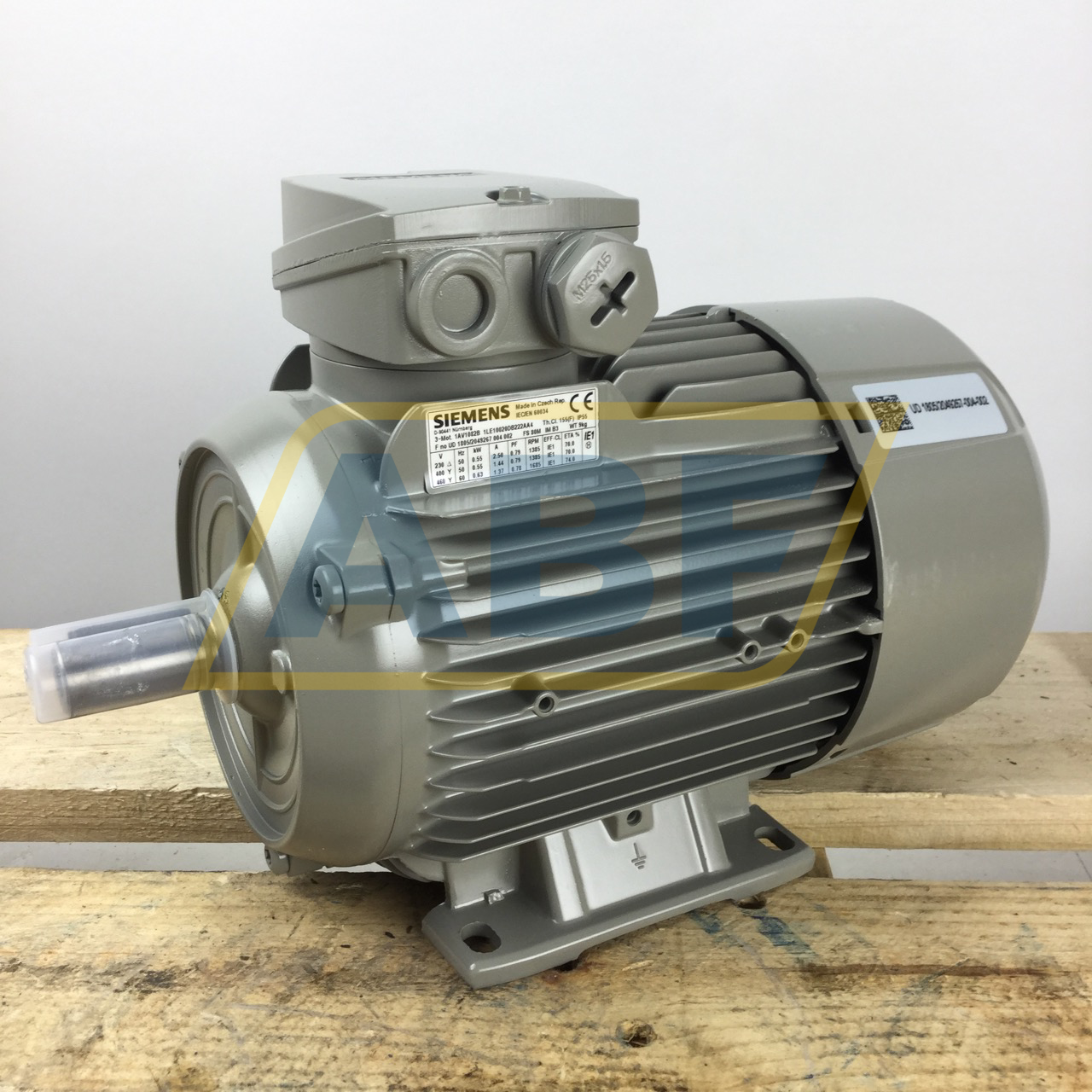 1LE1002-0DB22-2AA4 Siemens