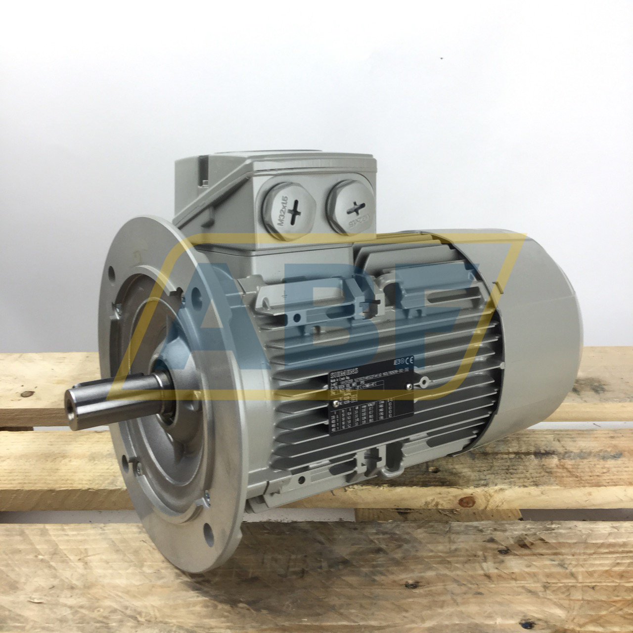 1LE1003-1AB52-2FA4 Siemens