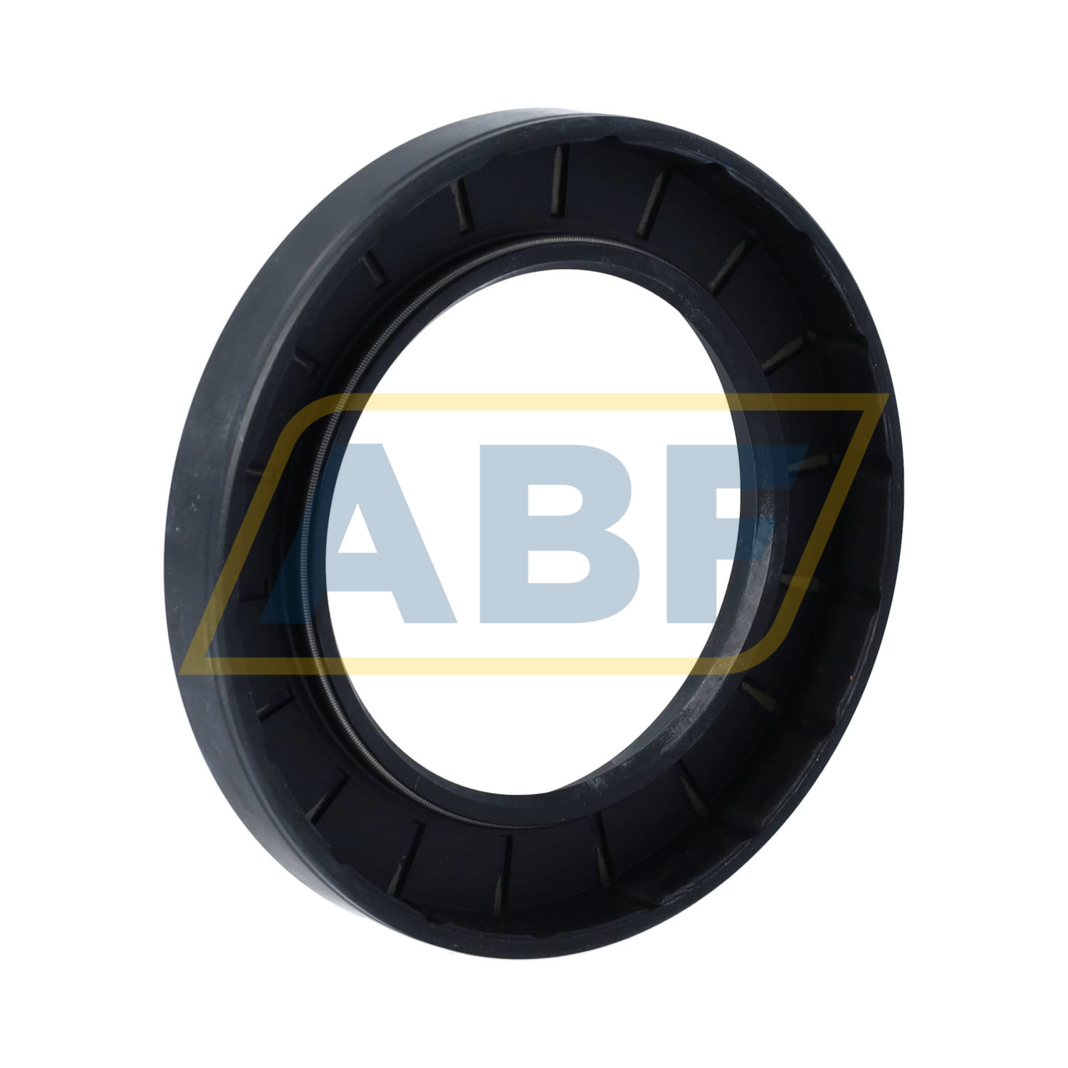 SC65X100X13 NAK Sealing Technologies