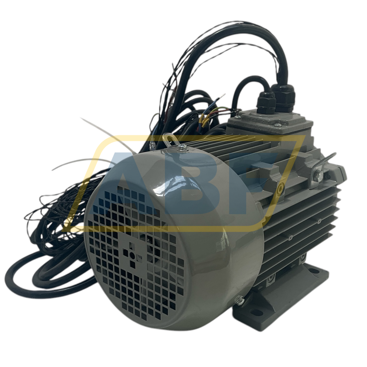 JLX-100L2-4-B3 JinLong Electrical Machinery