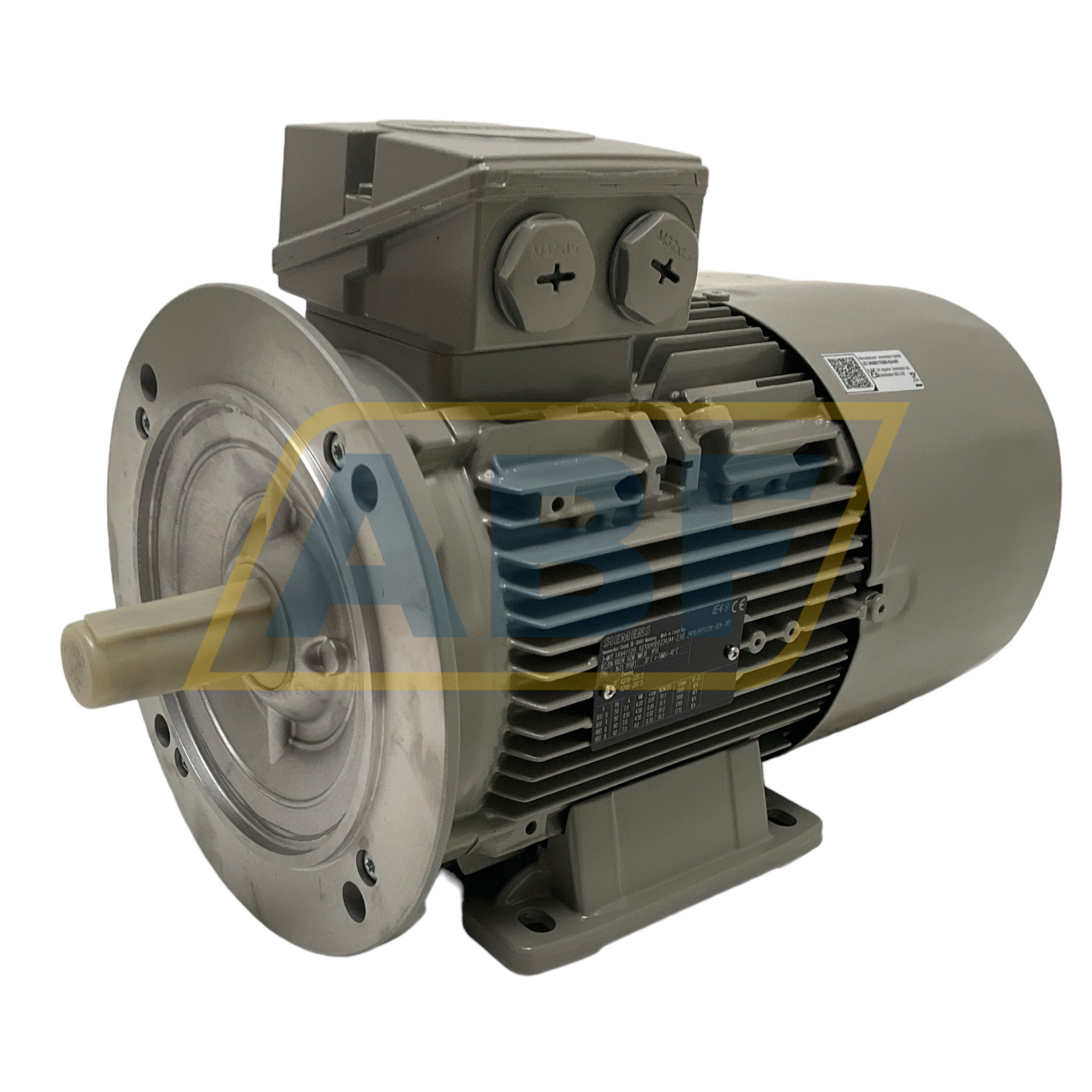 1LE1004-1BB23-4JA4-Z Siemens