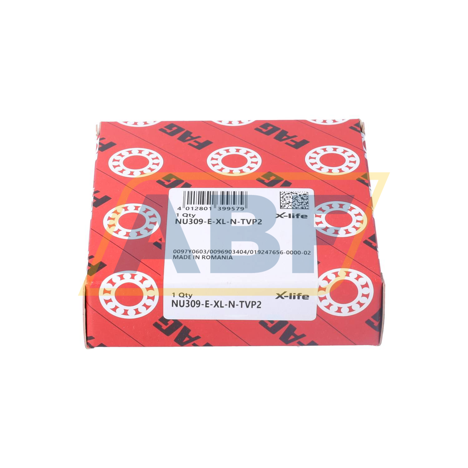 NU309-E-XL-N-TVP2 FAG