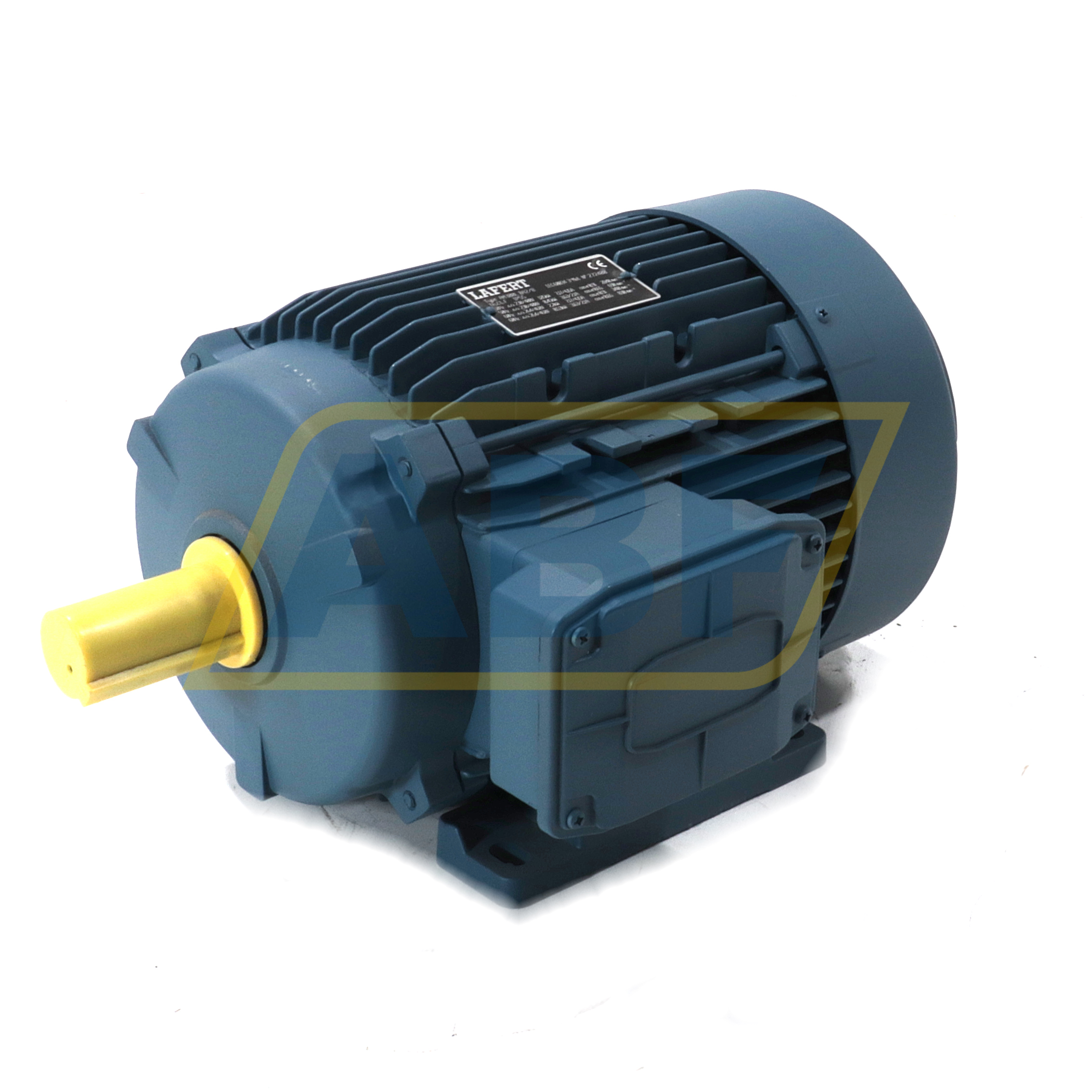 AM100LBA2/8B3 Lafert