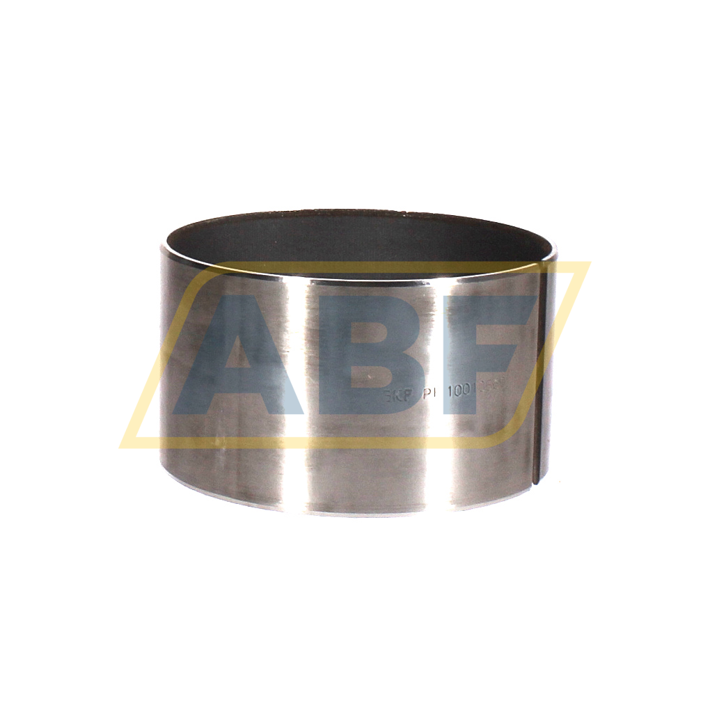 PI10010560 SKF
