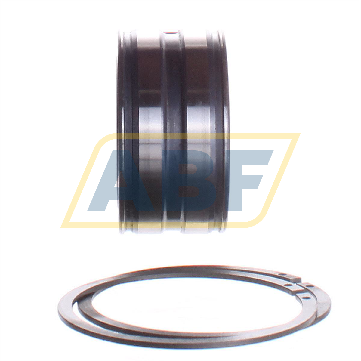 SL045009-PP-2NR INA