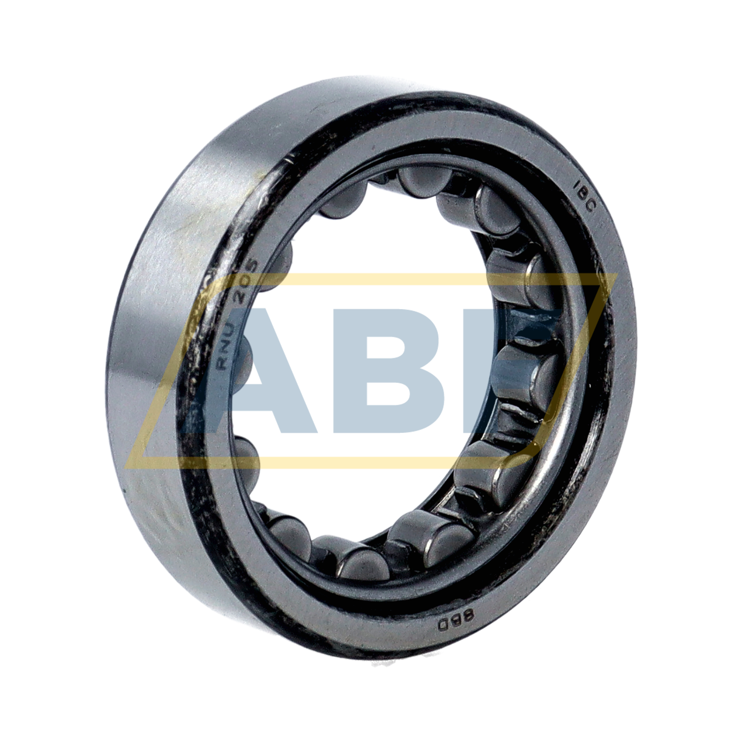 RNU205 IBC Bearings