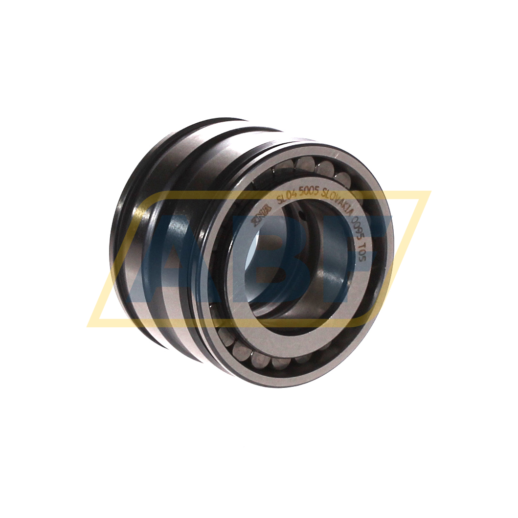 SL045005 INA