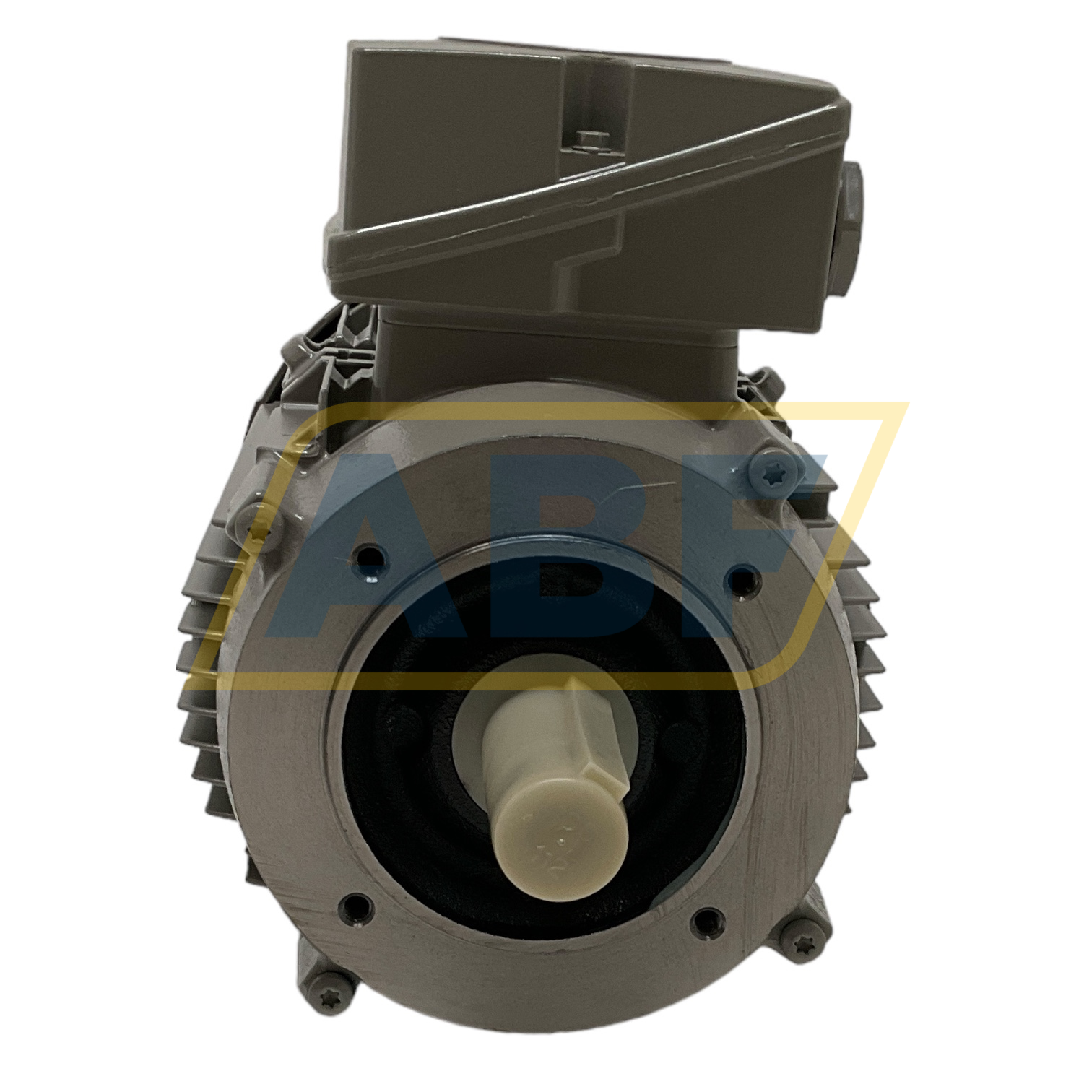 1LE1004-1AA42-2KA4 Siemens