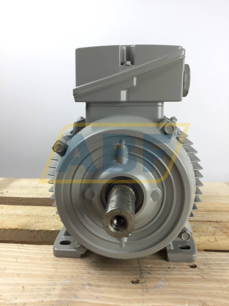 1LE1002-1AD42-2AA4 Siemens