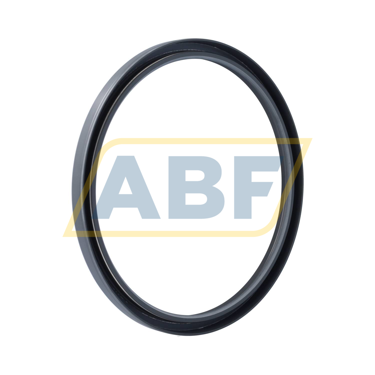 220X250X15HMSA10RG SKF