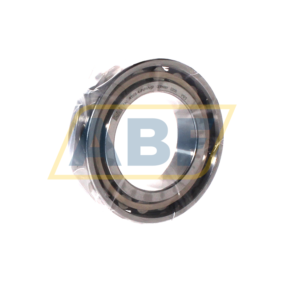 N1008-K-PVPA1-SP FAG