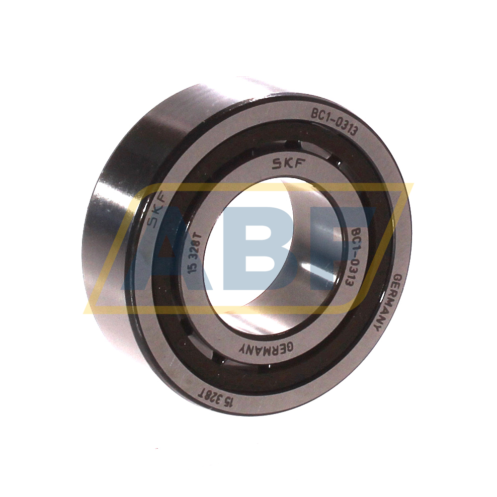 BC1-0313 SKF