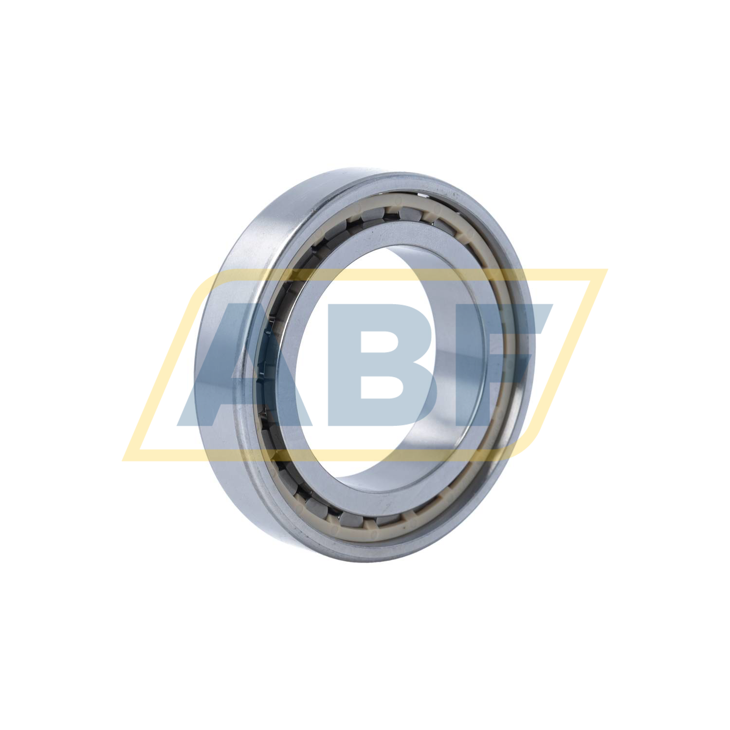 N1011-D-K-PVPA1-SP-XL-R10-20 FAG