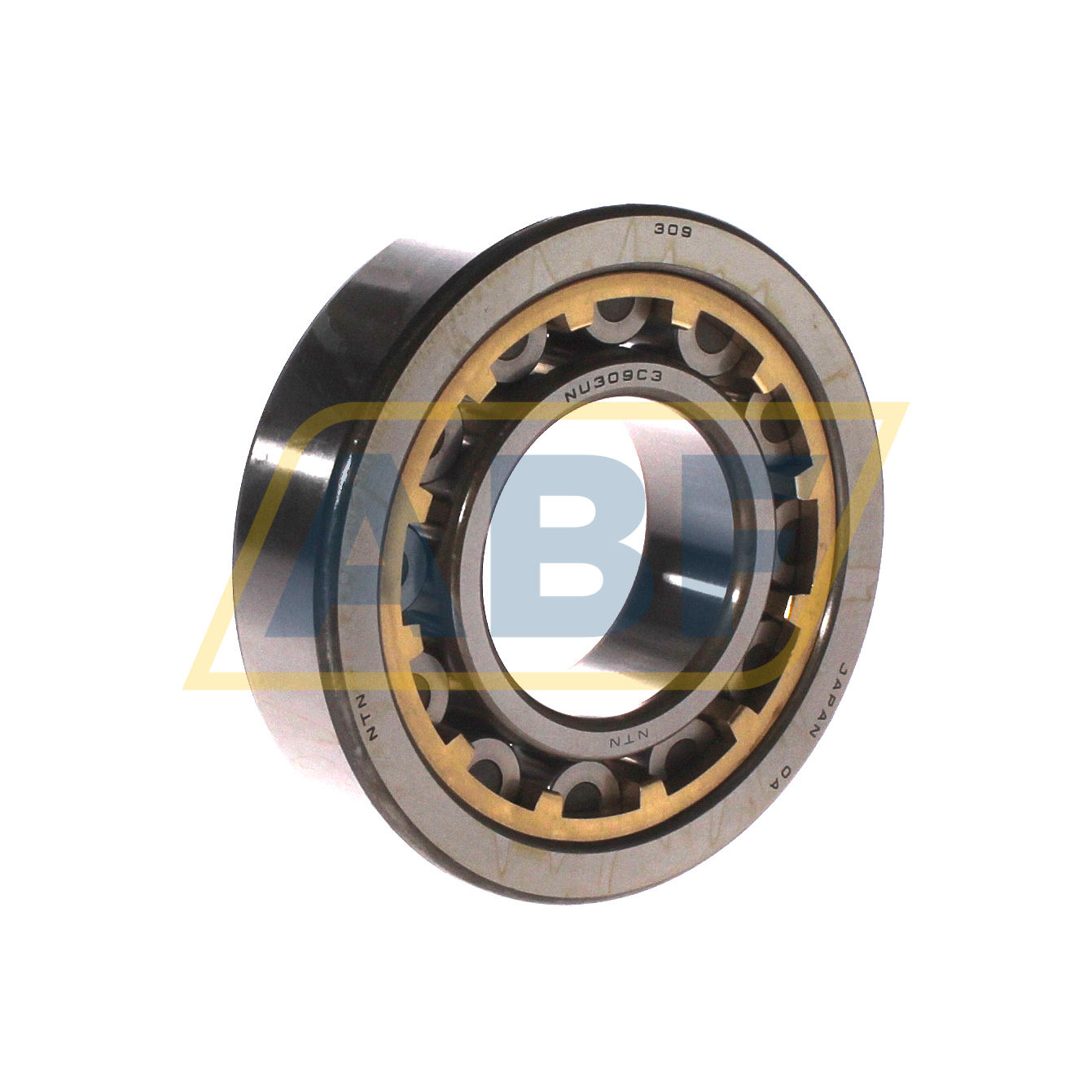 NU309G1 C3 NTN