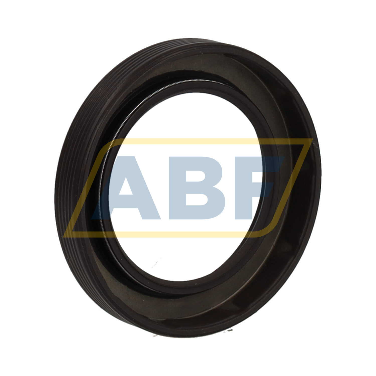 CR40X60X10HMS43V Chicago Rawhide Ltd