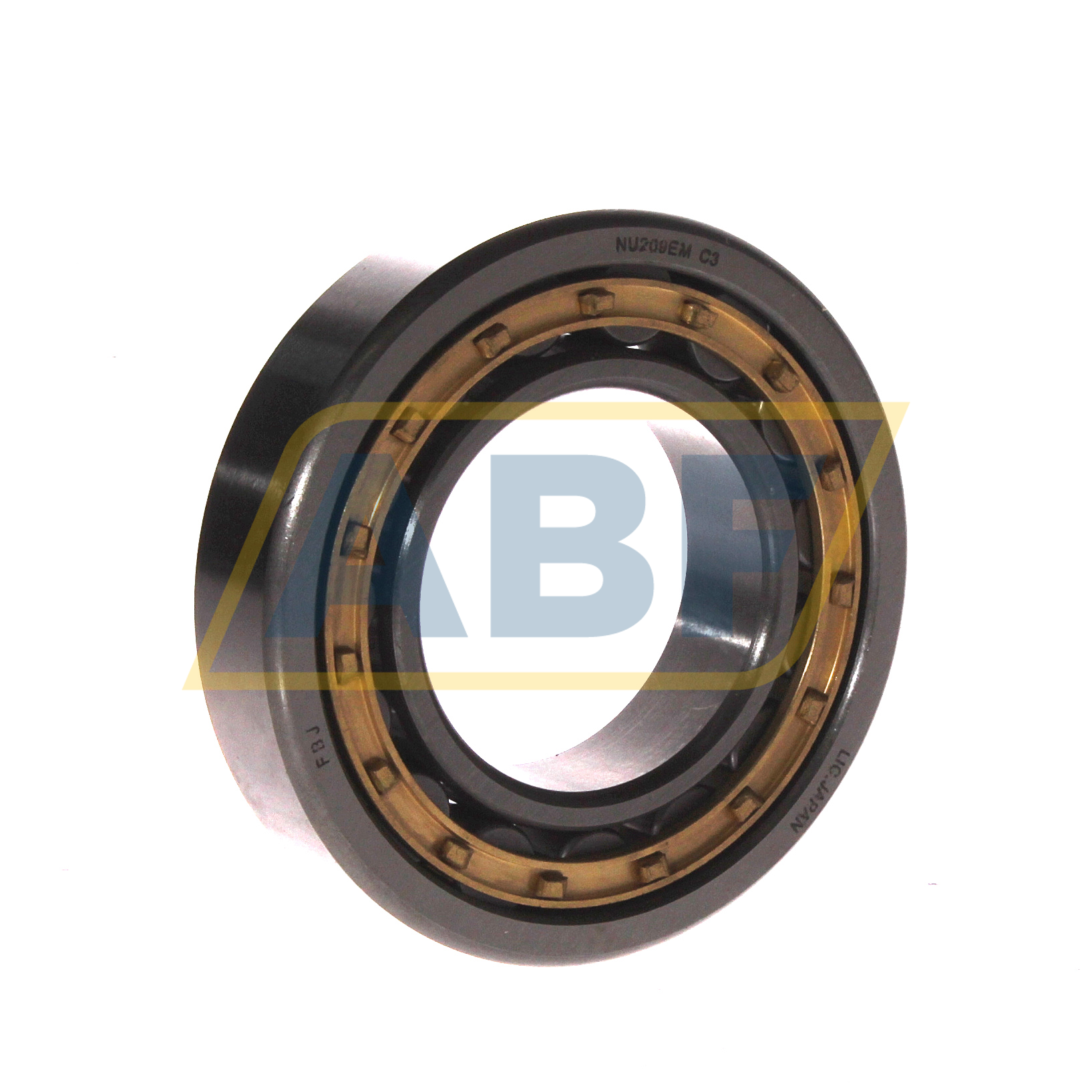 NU209EM C3 FBJ