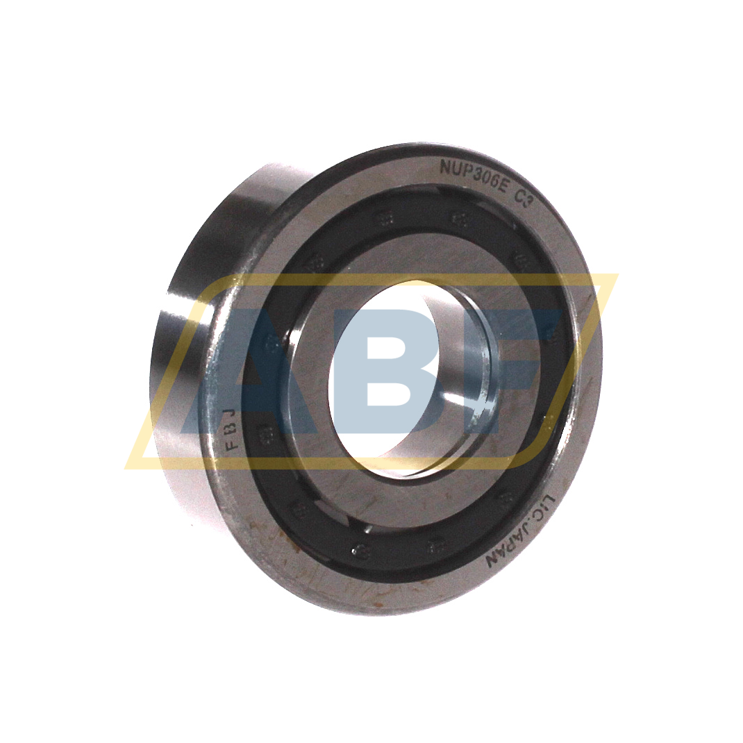 NUP306E C3 FBJ
