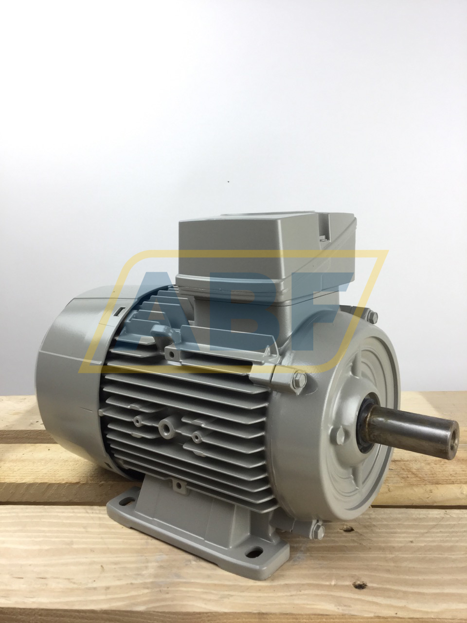 1LE1002-1AD42-2AA4 Siemens