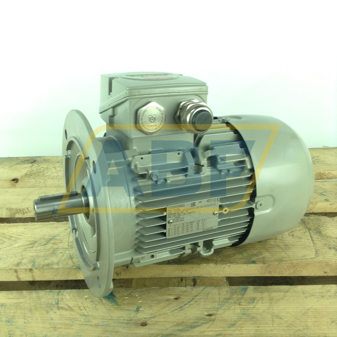 1LE1001-1AA42-2FB4-Z Siemens