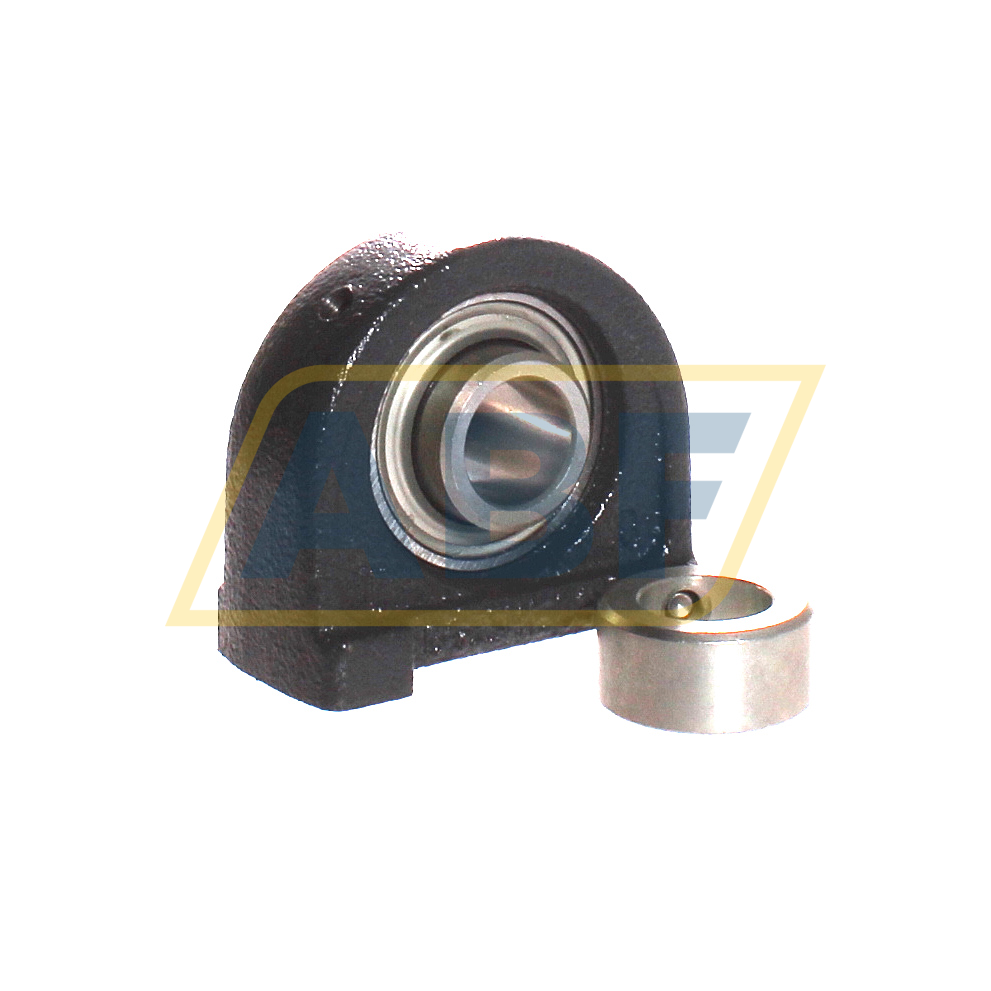 RSHE17-XL INA