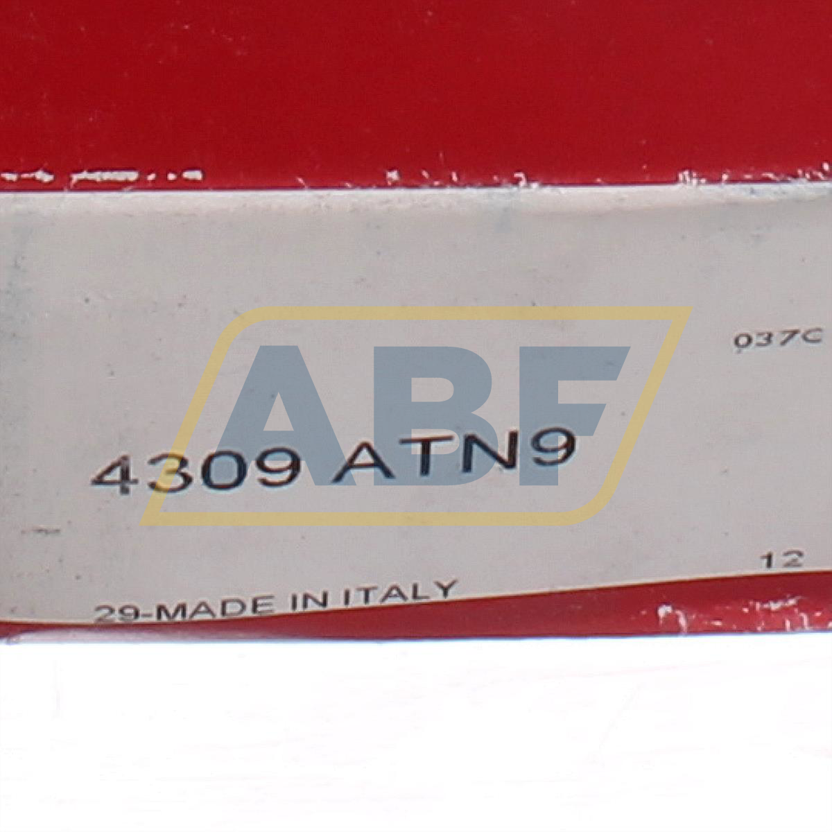 4309ATN9 SKF