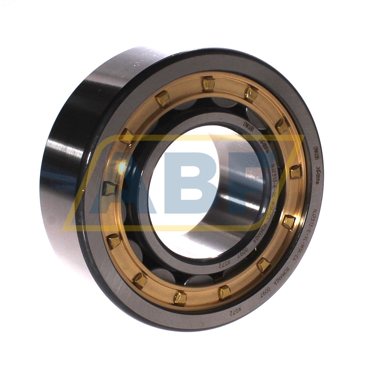 NJ2313-E-XL-M1A-C4 FAG