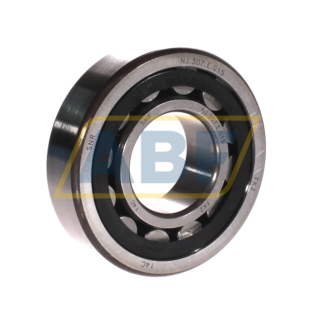 NJ307E G15 SNR