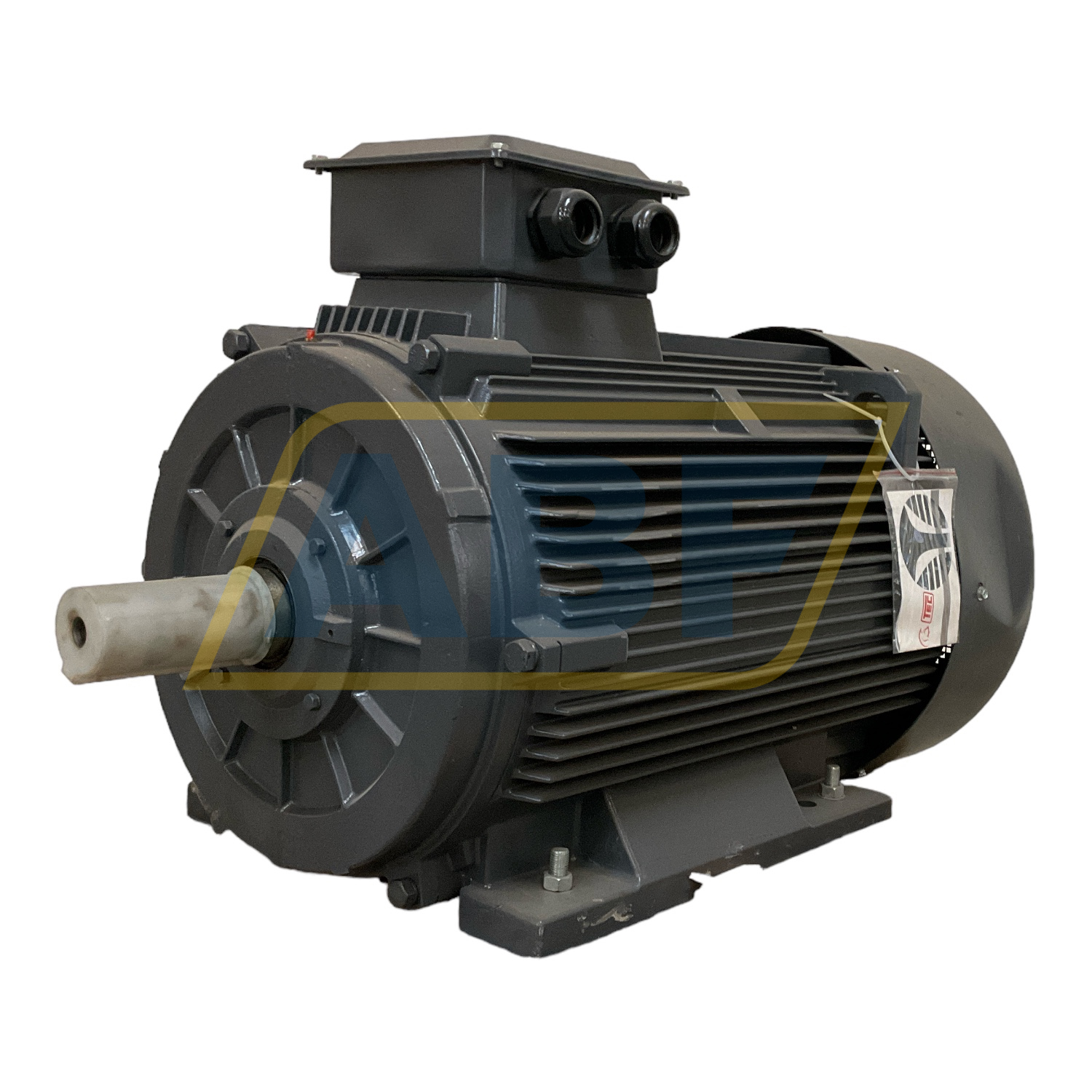 T2C315-L2-4-B3 TechTop Motor