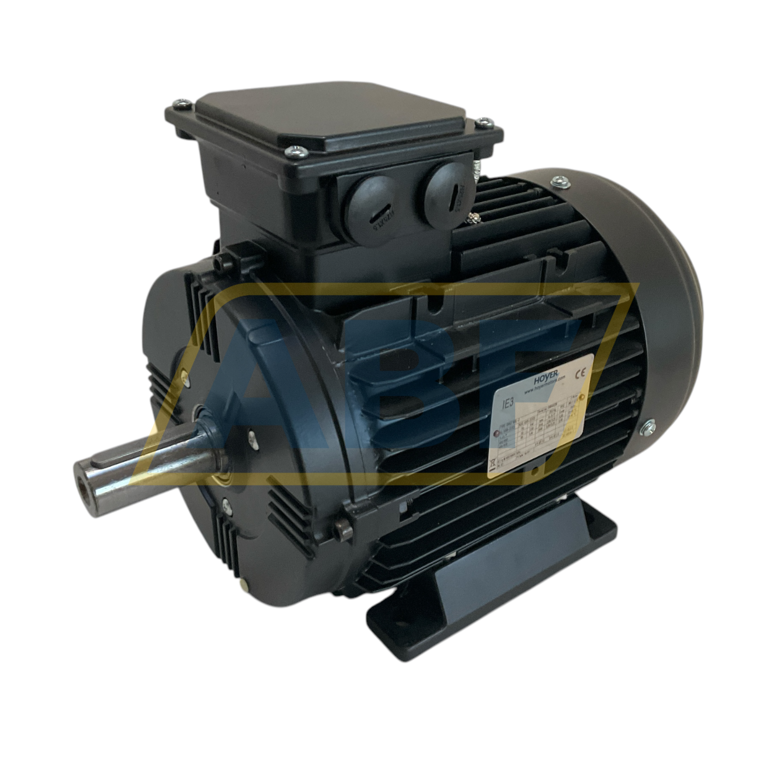 GMA3-100L-2-B3 Hoyer