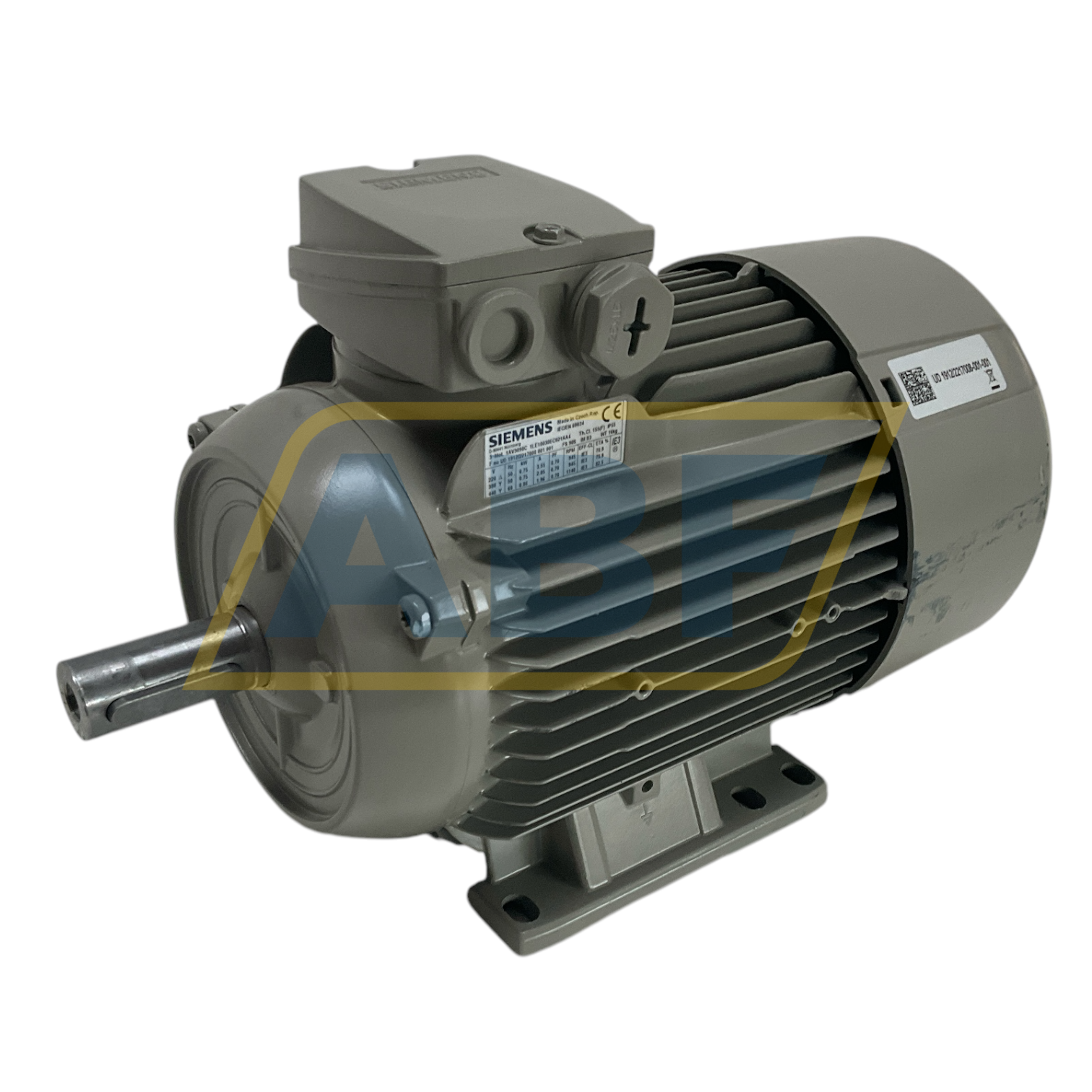 1LE1003-0EC02-1AA4 Siemens