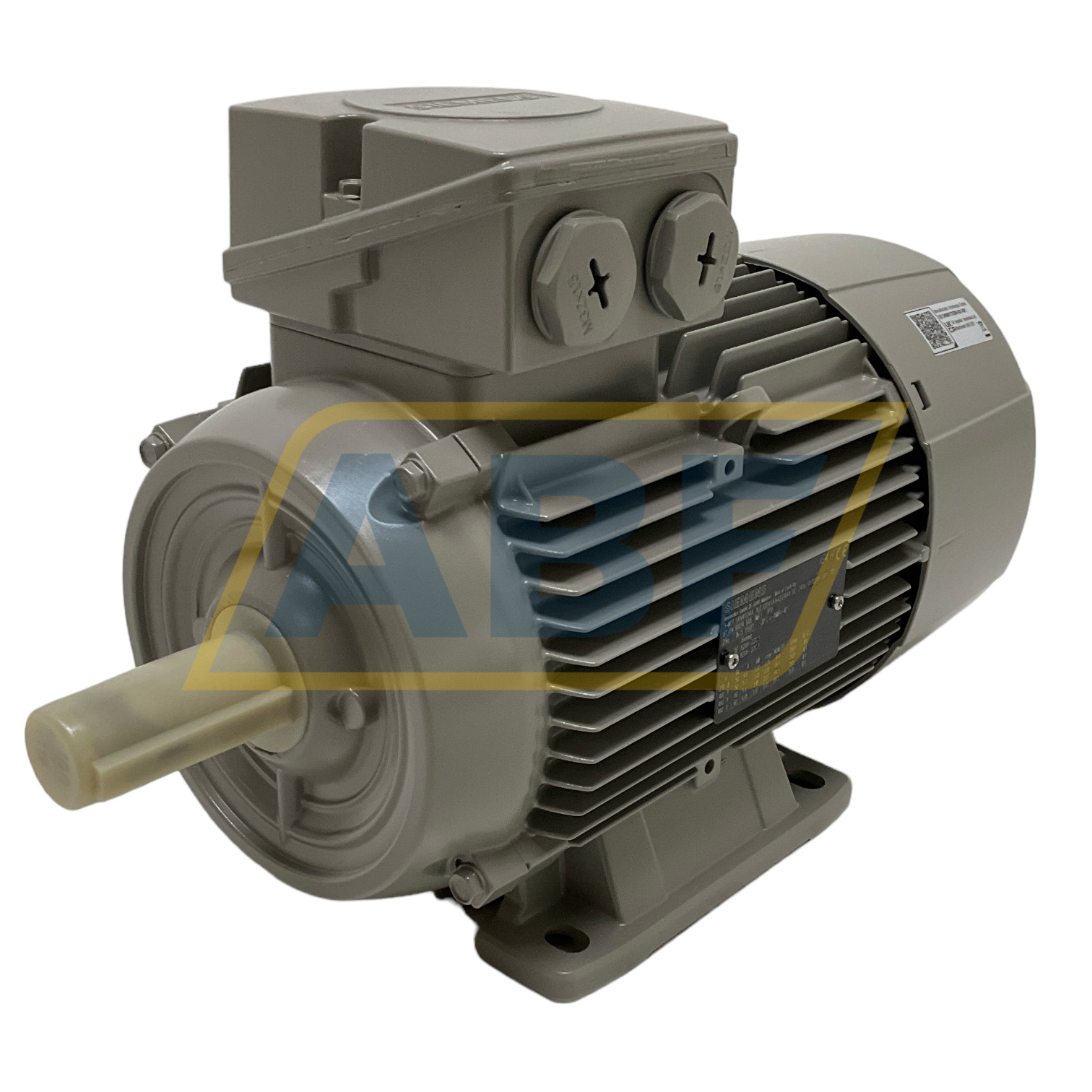 1LE1004-1AA42-2AA4 Siemens