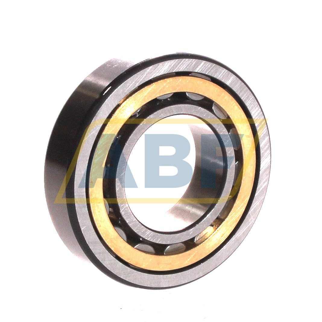 NU207-E-XL-M1-C2 FAG