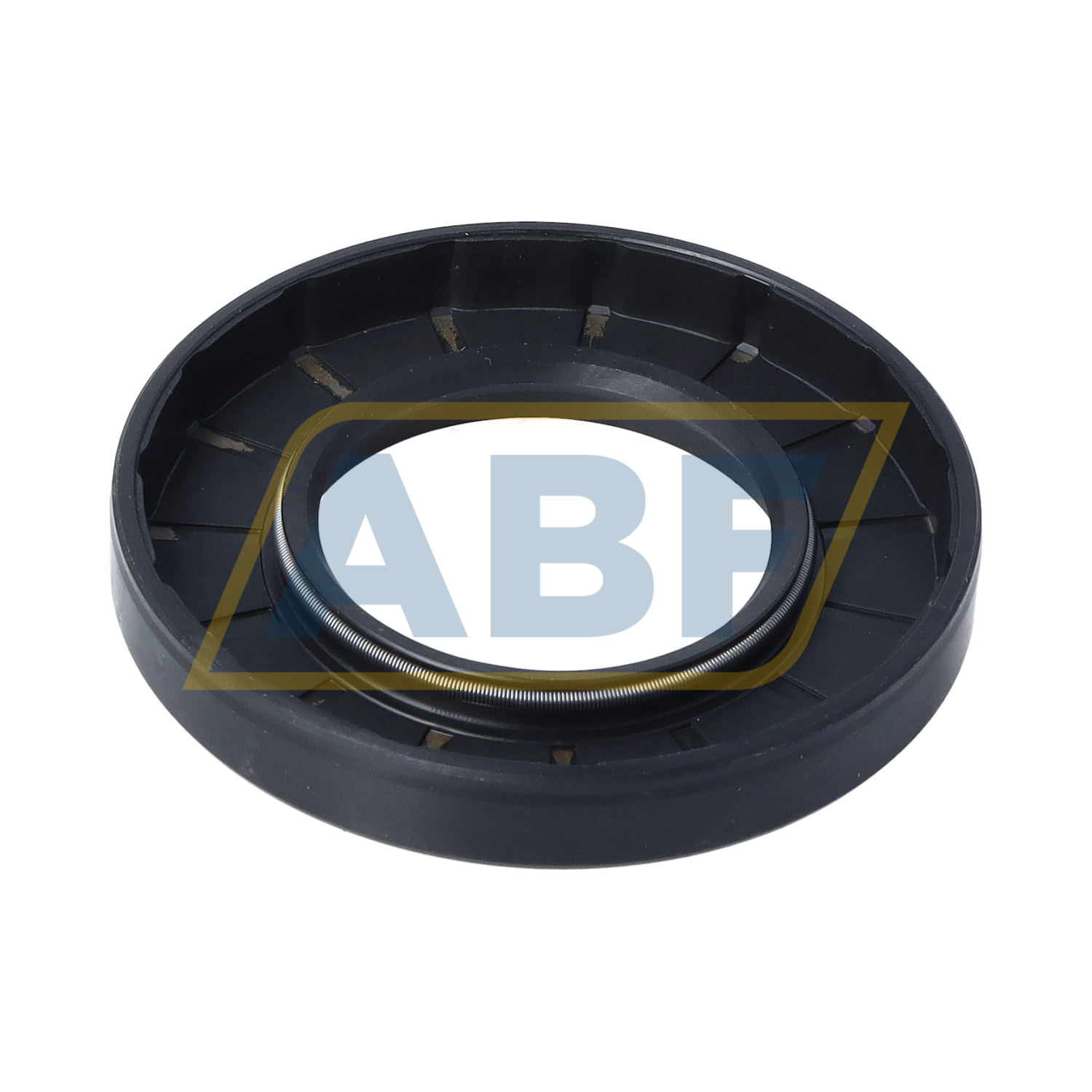 SC38X70X10 NAK Sealing Technologies