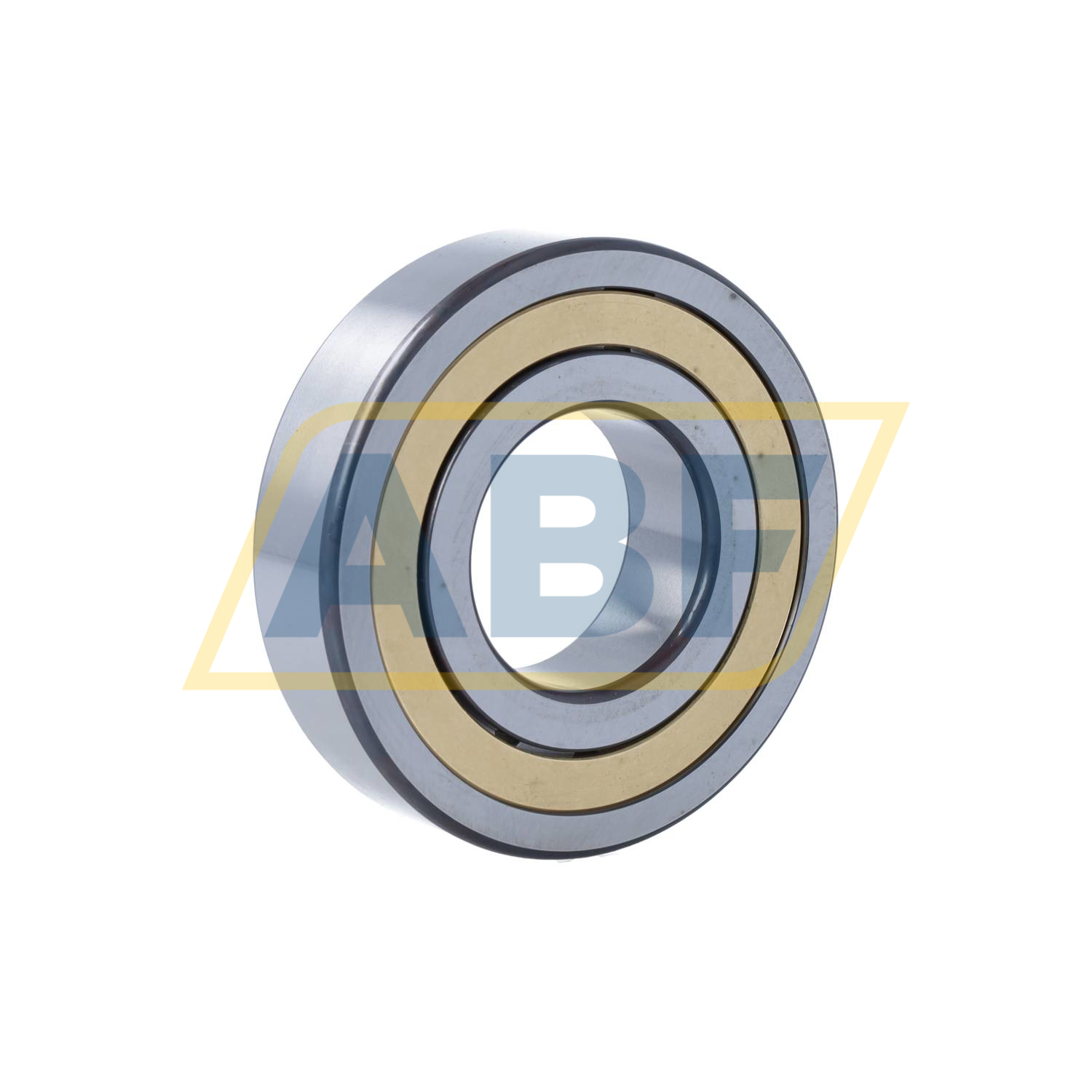 NJ309-E-XL-M1A-C4 FAG