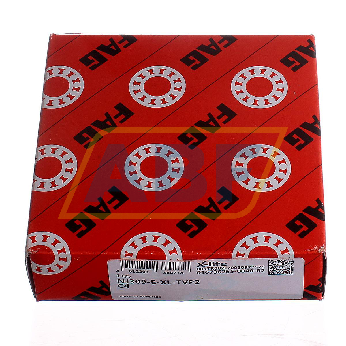 NJ309-E-XL-TVP2-C4 FAG