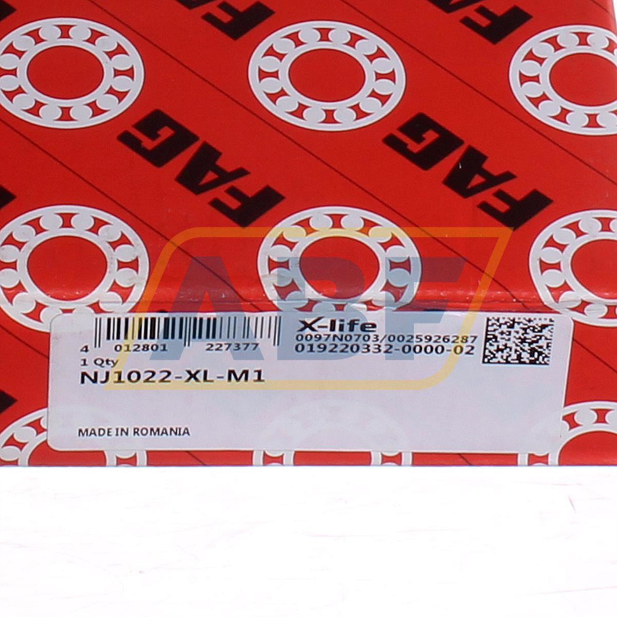 NJ1022-XL-M1 FAG