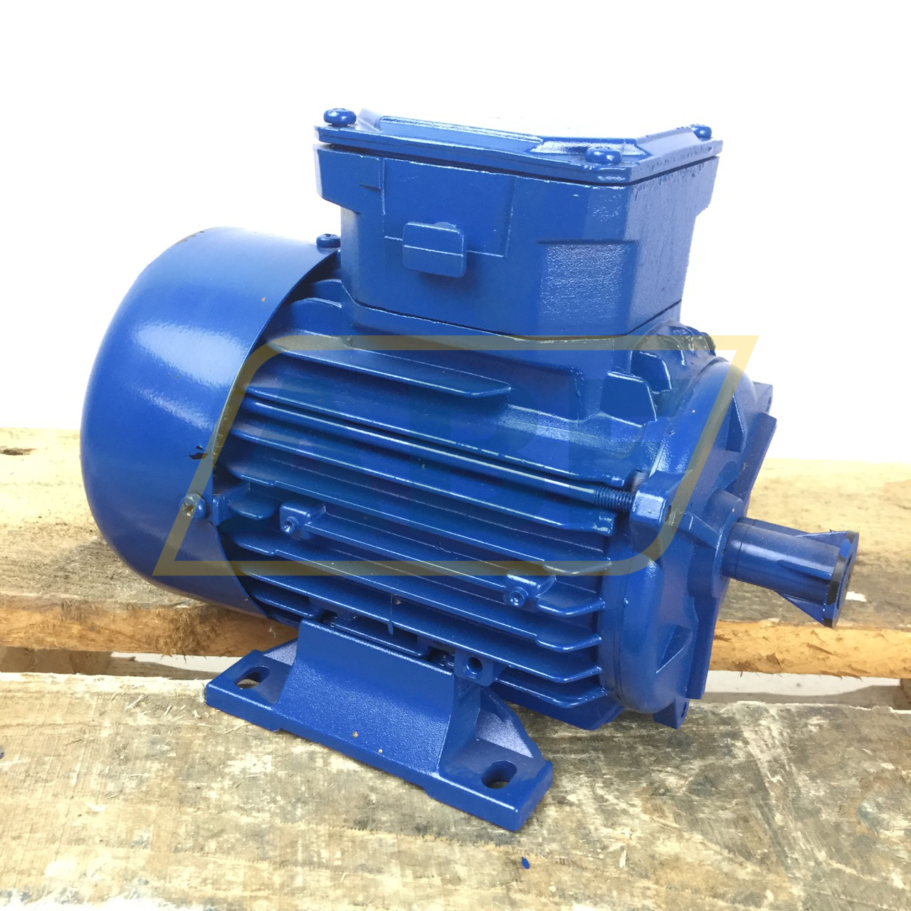 A4C0622A00017 Marelli Motori