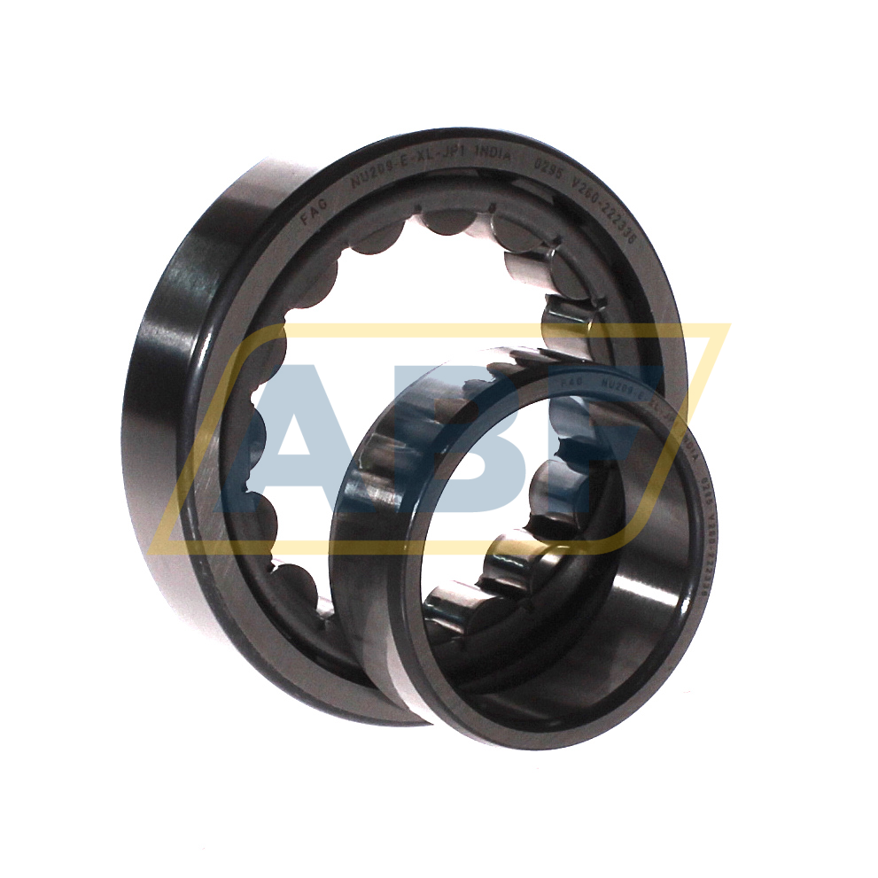 NU209-E-XL-JP1 FAG