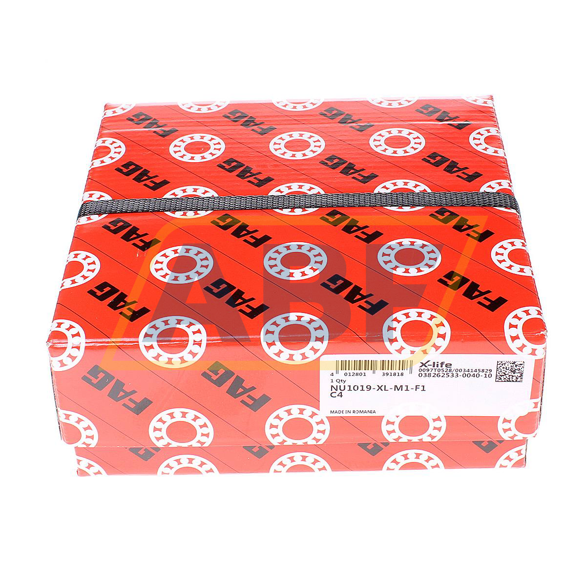 NU1019-XL-M1-F1-C4 FAG