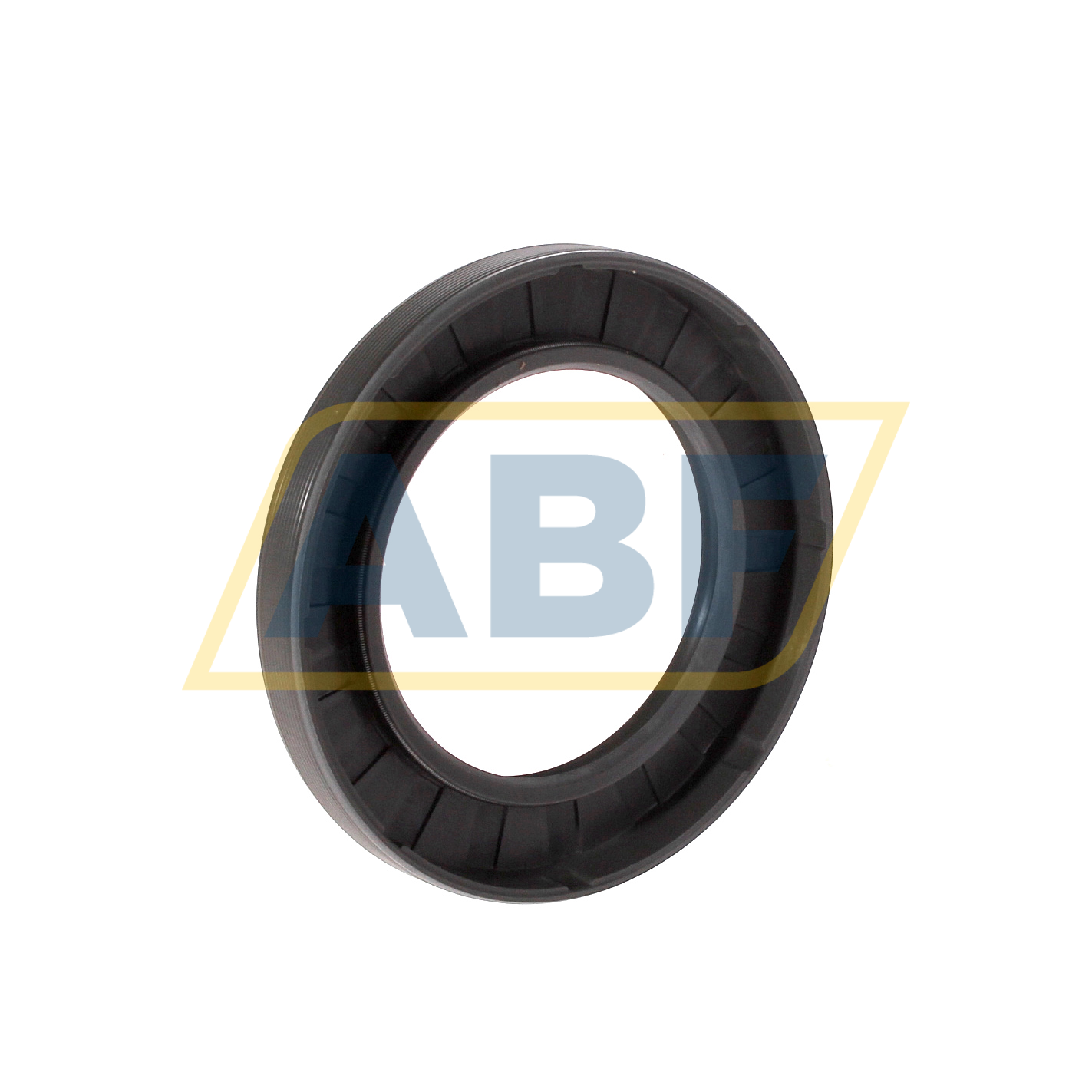 52X80X10HMSA10RG SKF