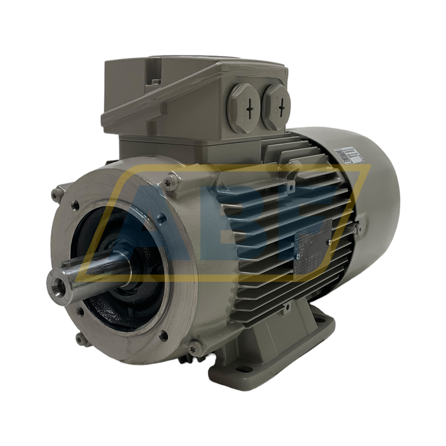 1LE1004-1AB52-2NA4 Siemens