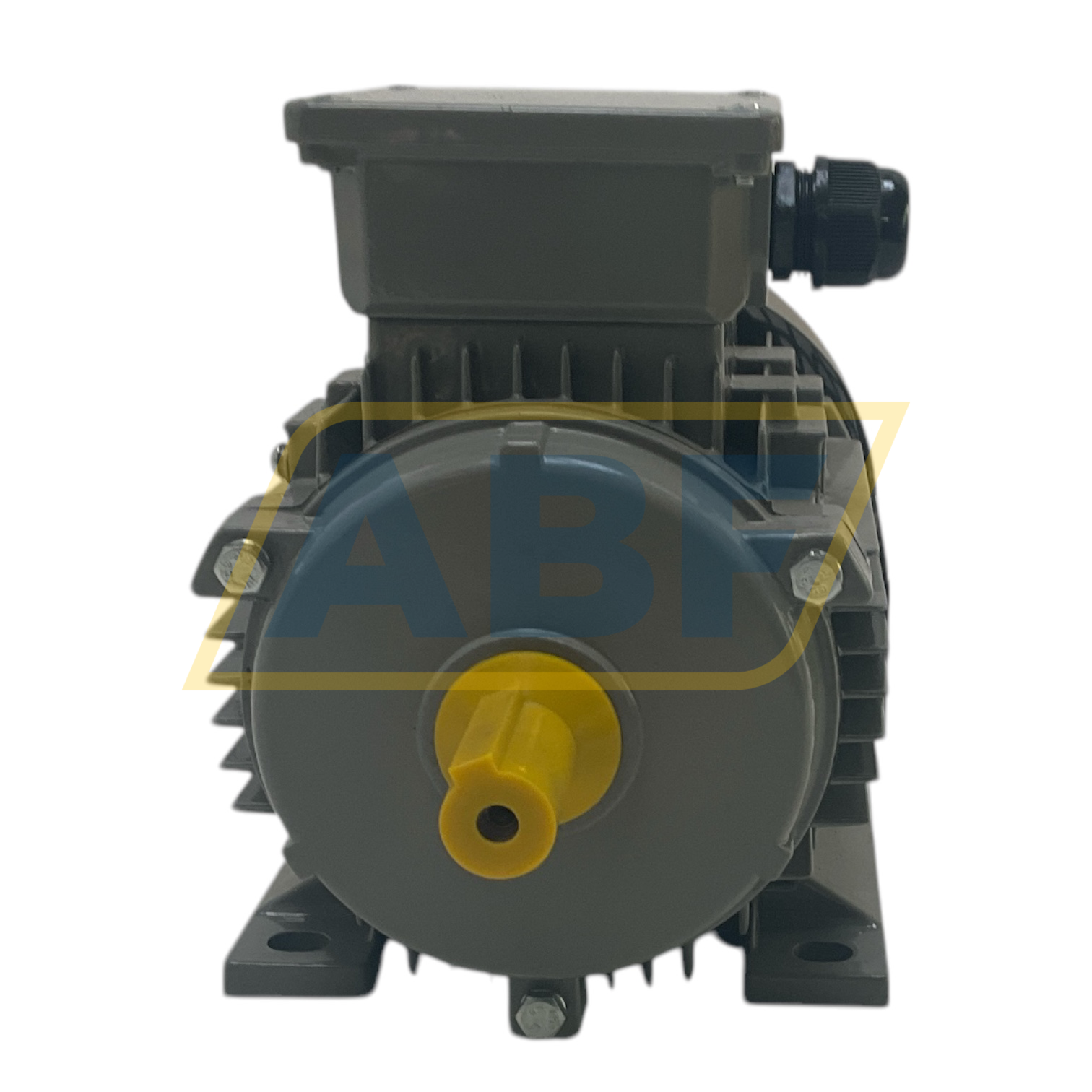 JL1-802-4-B3 JinLong Electrical Machinery