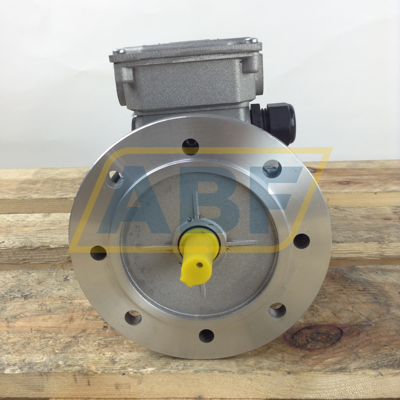 TF71B/4-CANM10-B5 MT Motori Elettrici