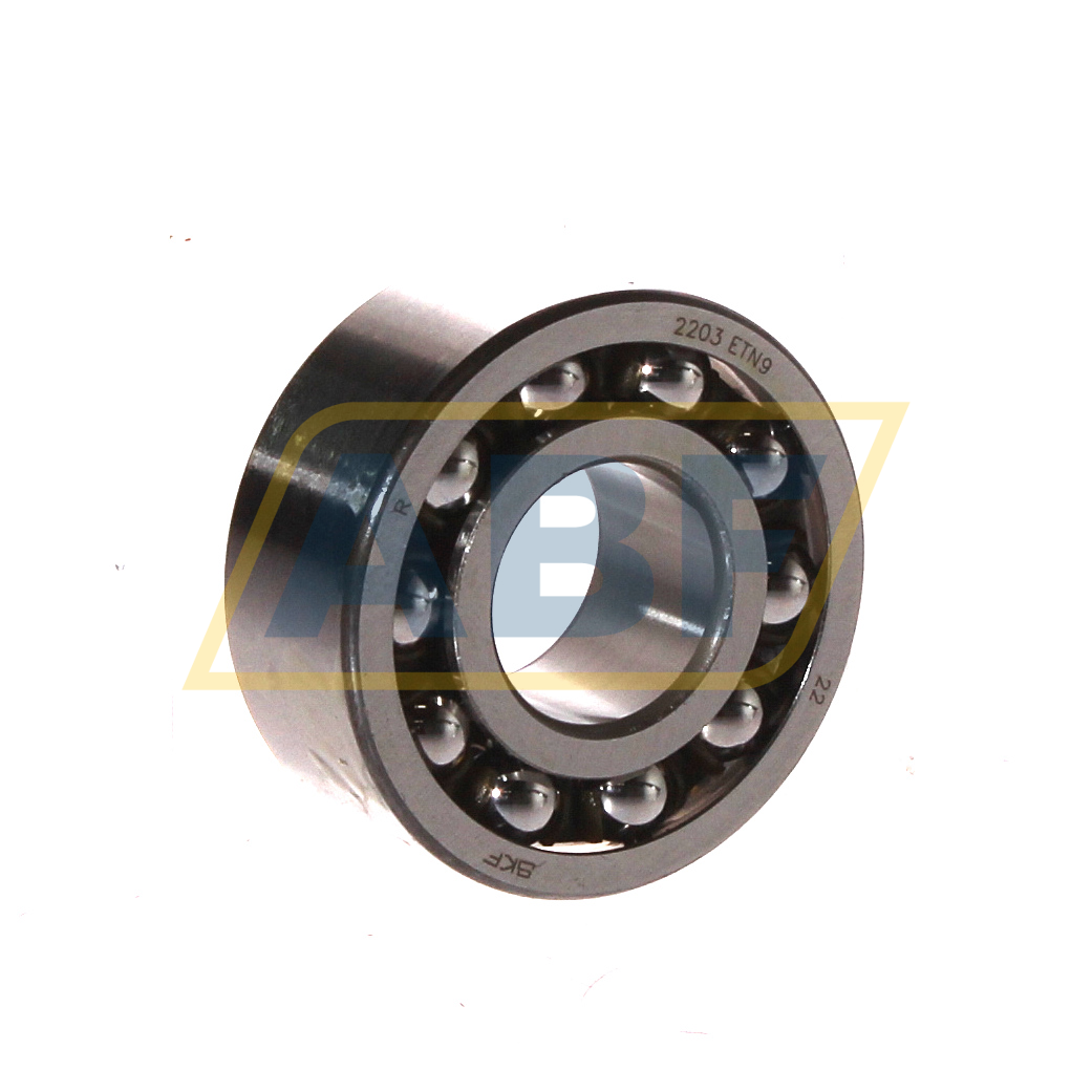 2203ETN9 SKF