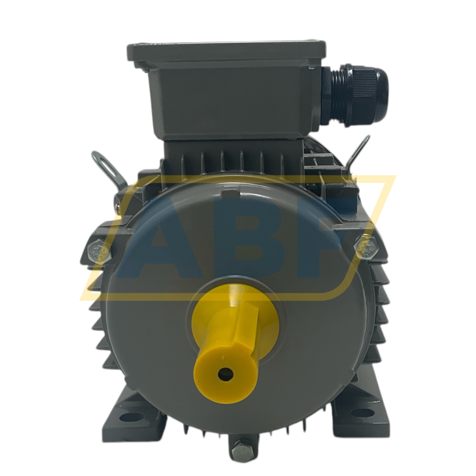 JL1-100L2-4-B3 JinLong Electrical Machinery
