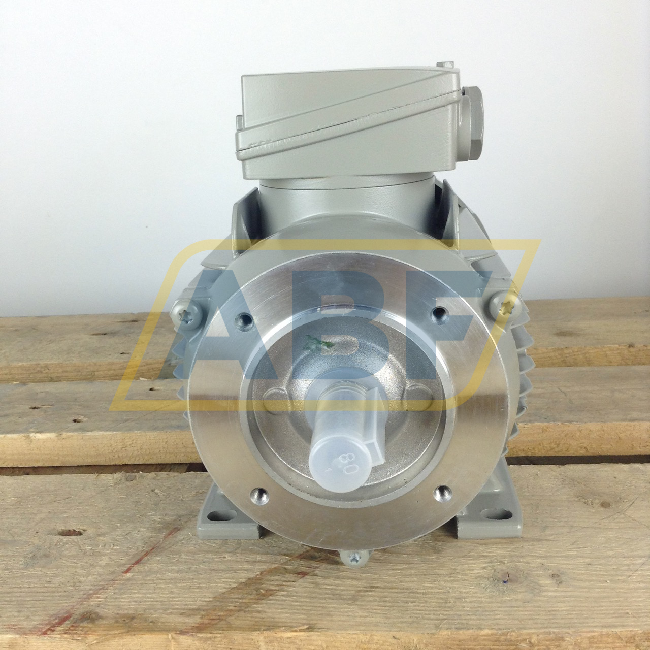 1LE1002-0DB22-2NA4 Siemens